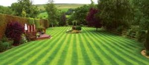 beautiful lawns would mean great turf care